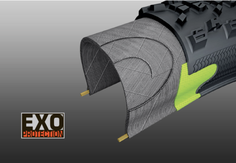 Maxxis Exo Rysunek Techniczny