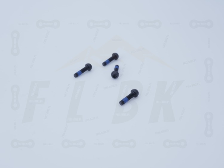 Błotnik Do amortyzatora Rock Shox Boxxer zbliżenie na śruby montażowe