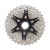 P-CS-HG700-11_BC19Nd0055.jpg.thumb.572.572.png