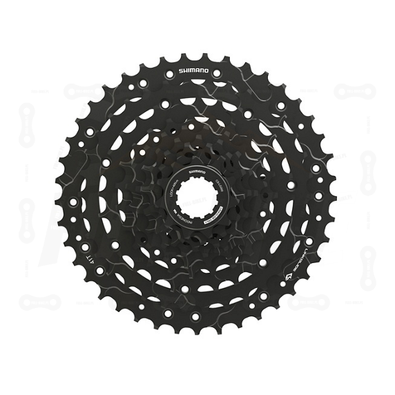CS-LG300-9-11-41T-shic219-primary_1.jpg.thumb.572.572.png