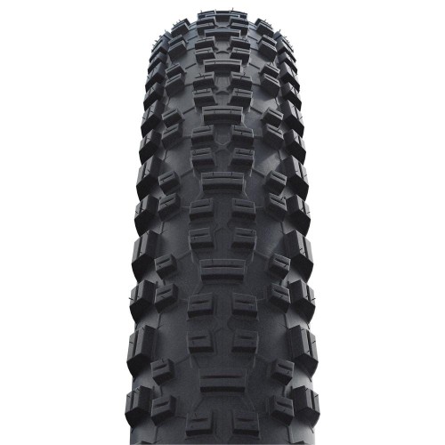 29302444_2 hs425_schwalbe_rapid-rob_profil.jpg