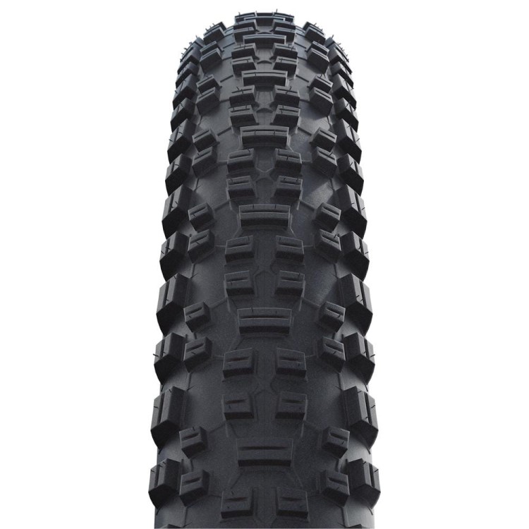 29302444_2 hs425_schwalbe_rapid-rob_profil.jpg