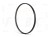 2024_Dartmoor_parts_rims_Raptor_03_3.jpg